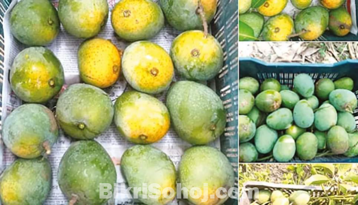 আমি রাজধানীর চাঁপাইনবাবগঞ্জের (ক্ষীরসাপাত) আম